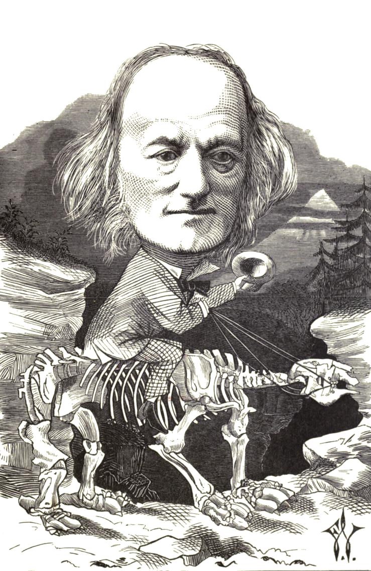 ] Frederick Waddy, ‘Richard Owen riding his hobby’, from Cartoon portraits and biographical sketches of men of the day, 1873