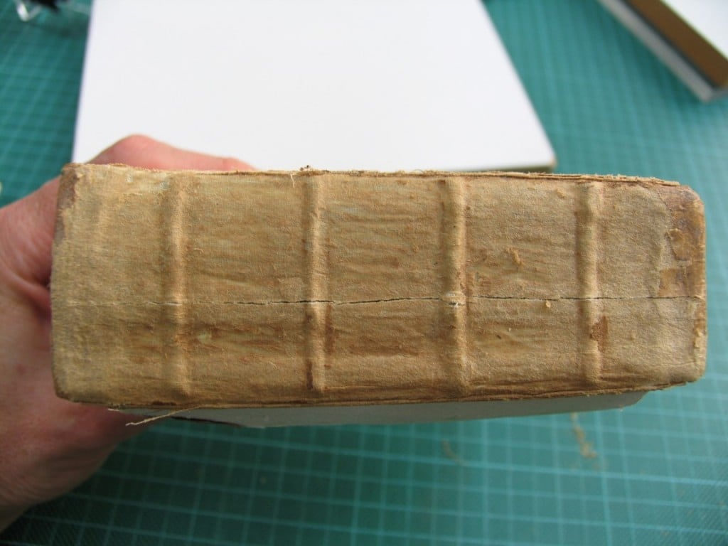 The spine before cleaning
