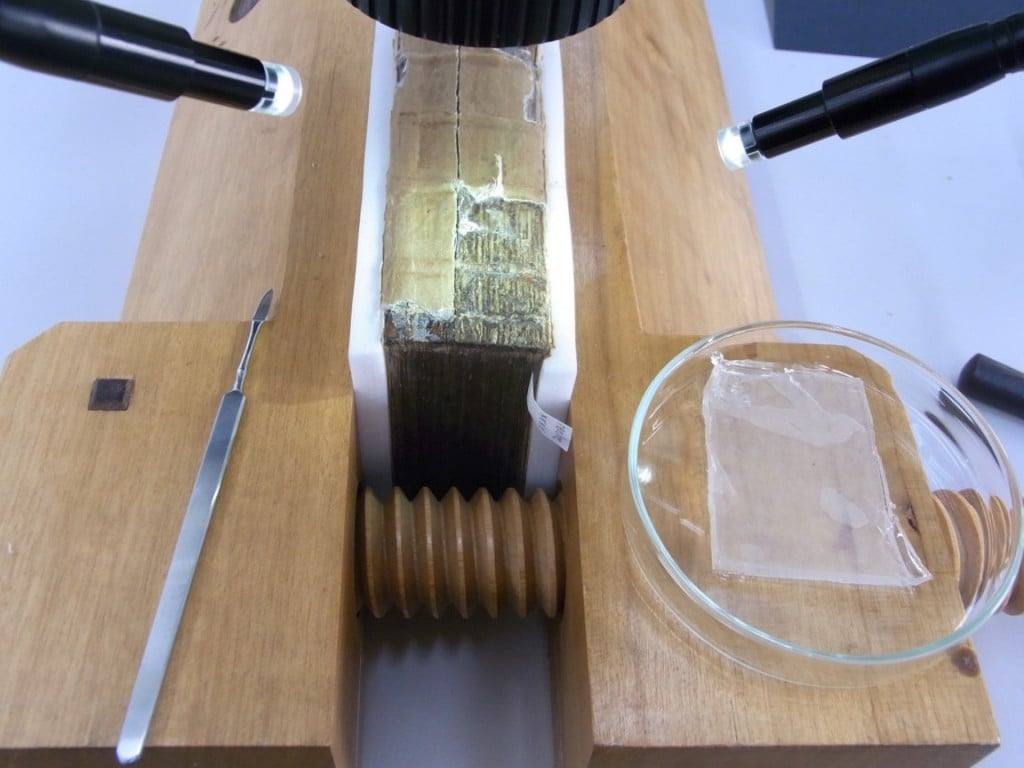 The manuscript in a press while the spine is being cleaned