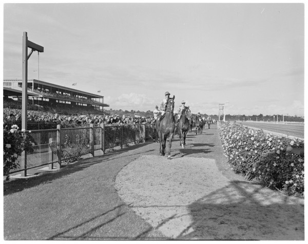 Black and white photo of horses and jockeys at racecourse