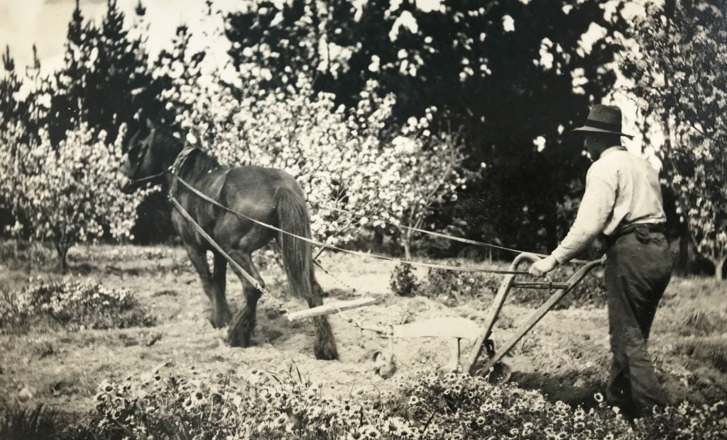 Black and white photograph of a man with a hat, holding a plough as a horse pulls the plough ahead of him.