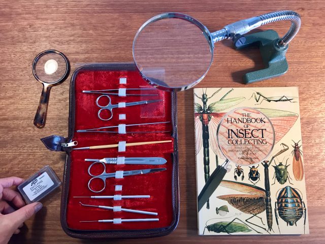 State Library Victoria – insect collecting tools and guide