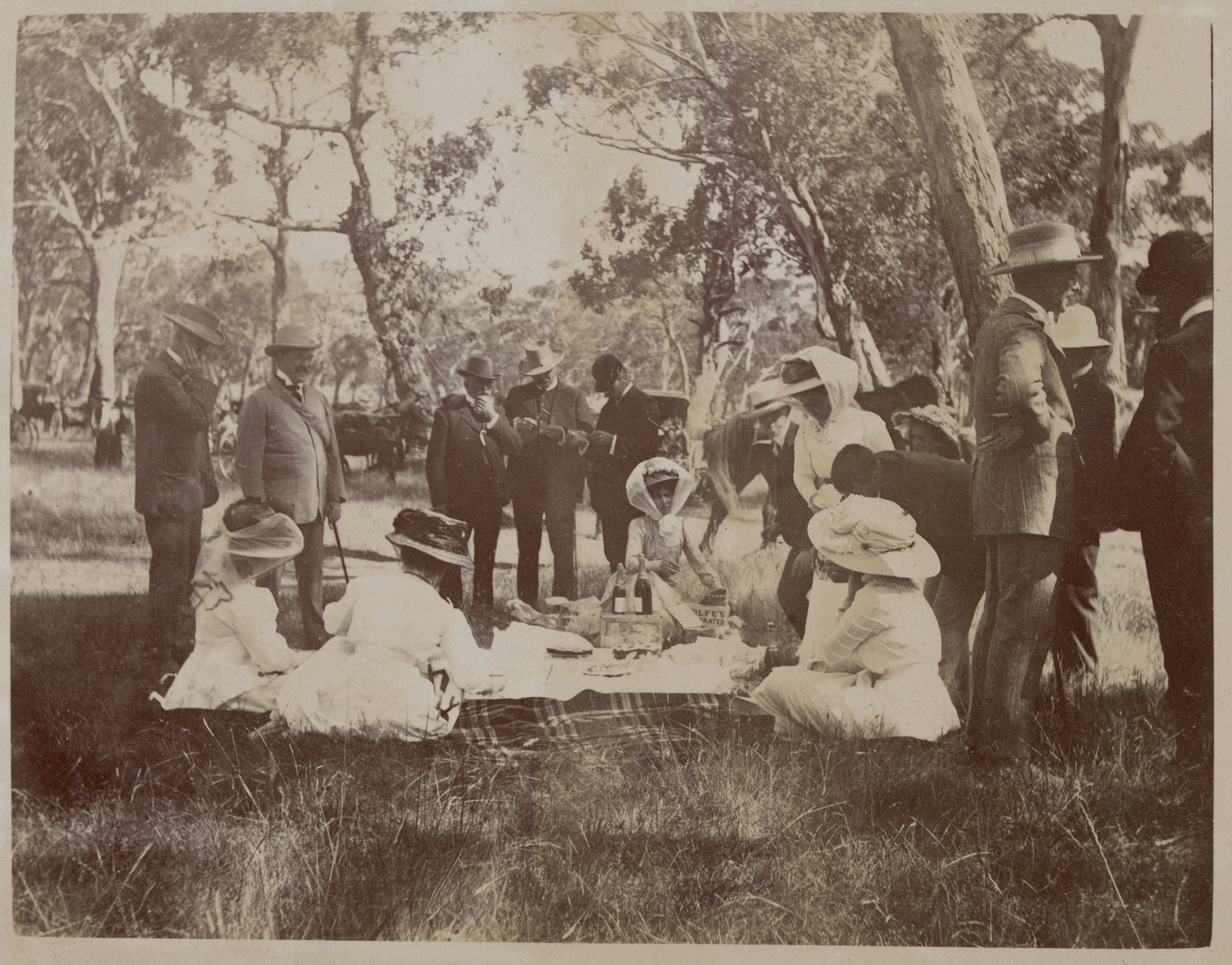Australia Day Hanging Rock races Photos Bendigo Advertiser Bendigo, VIC
