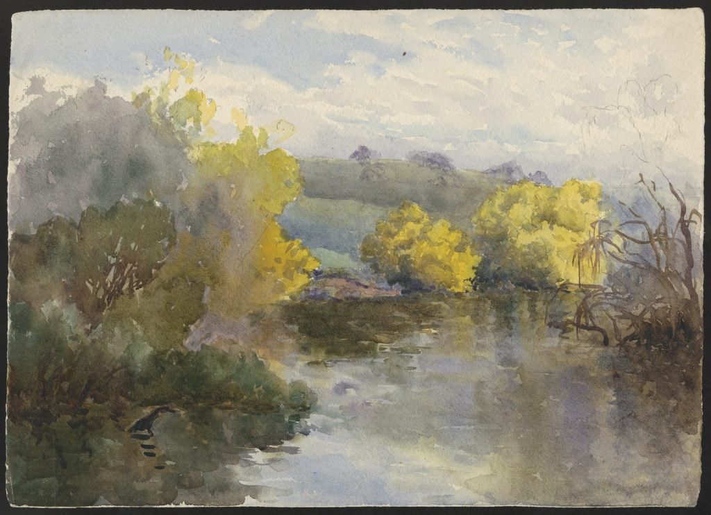 Watercolour, river edged with flowering wattles, distant hills in the background.