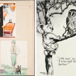 Two images: left side, illustrations for newspaper. Right side, black pen and ink drawing of Blinky Bill and an owl in a gum tree