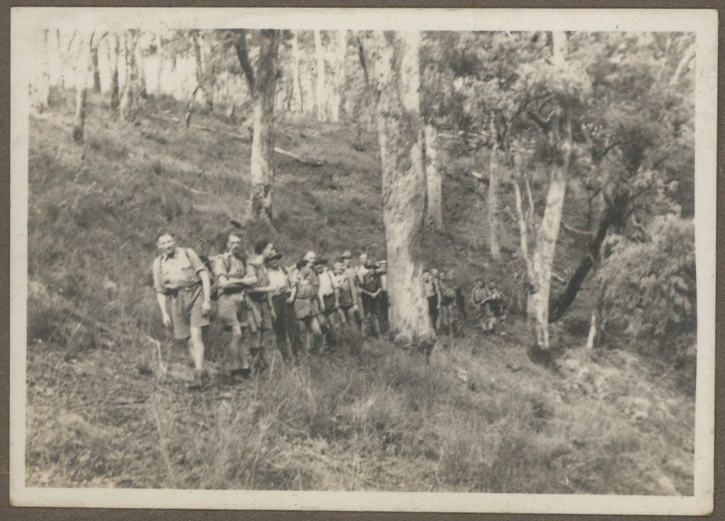 Photograph of group of walkers on a track through tall trees