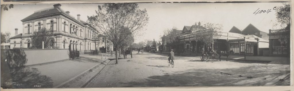panoramic photograph view down a street in Colac, with horses and buggies, a man riding a bicycle and buildings on either side of the street