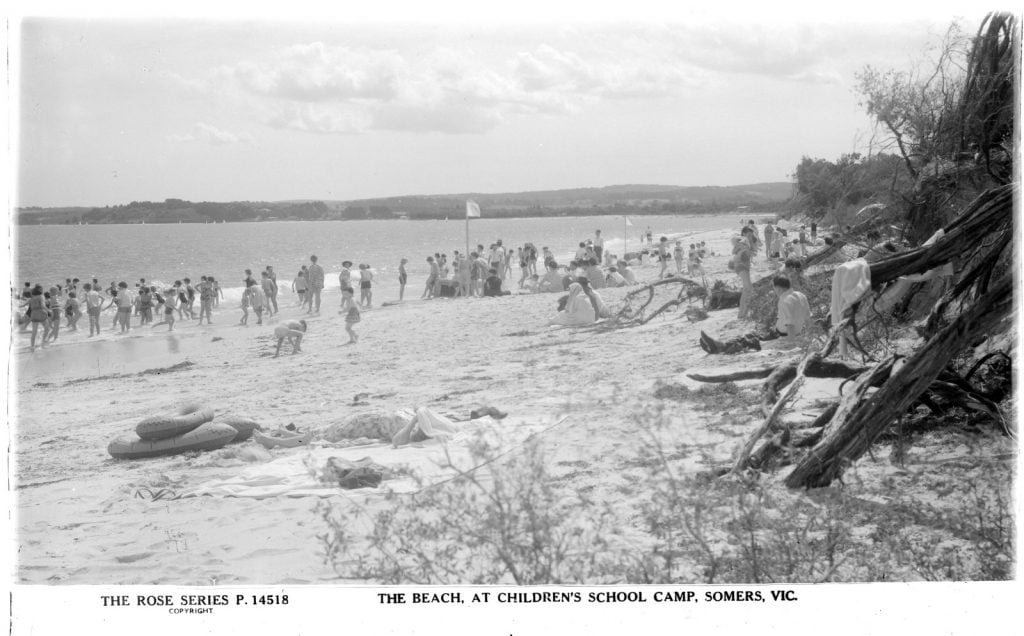Crowd of children standing in shallow water at the beach. Sandy beach, tree trunks in the foreground.