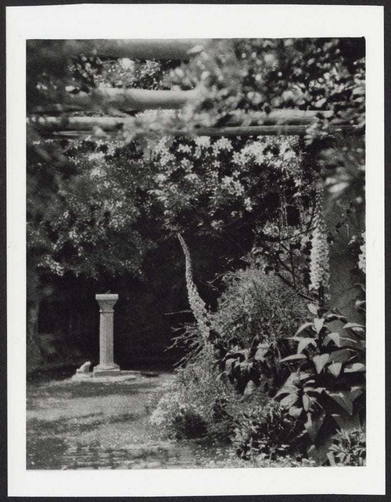 Image of a garden showing a sundial on top of a stone pillar seen beyond a timber pergola with Foxgloves and Clematis. 