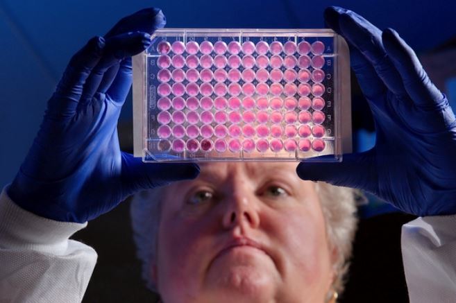 View underneath a clear tray of pink pills held by a female laboratory worker wearing gloves.