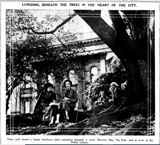 Black and white image from a newspaper, of a group of woman eating lunch under a Moreton Bay Fig tree on the State Library Victoria forecourt in 1935.