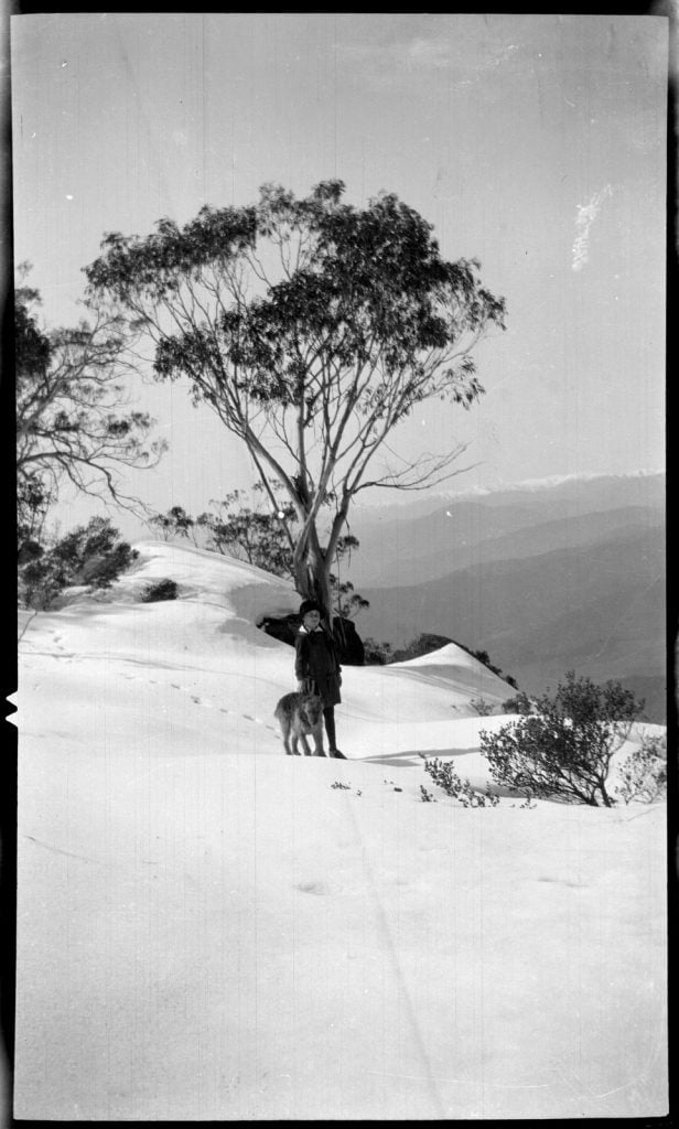 Young girl and a  dog standing in the snow, with view of the other side of the valley in the background, on a sunny day.