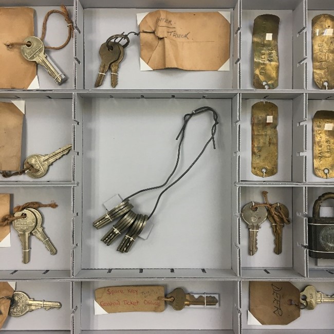 After rehousing of zoological keys, Le Souëf Family Archive