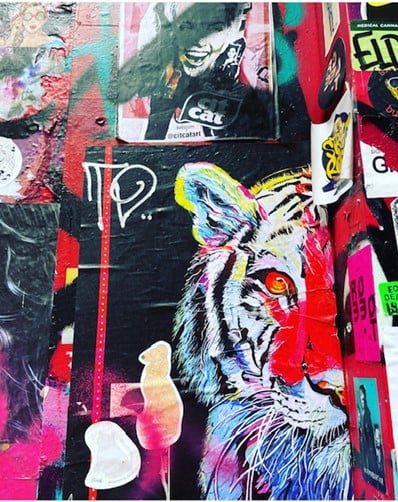 A black wall covered in stickers and a mural of half a tiger's face peering out