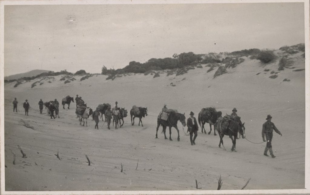 Party of pack horses and men walking along a sandy beach
