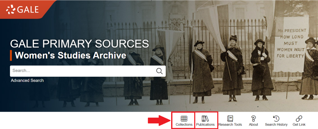 Screenshot of the landing page of the Women's Studies Archive showing search bar as well as the Collections view and Publications view buttons.