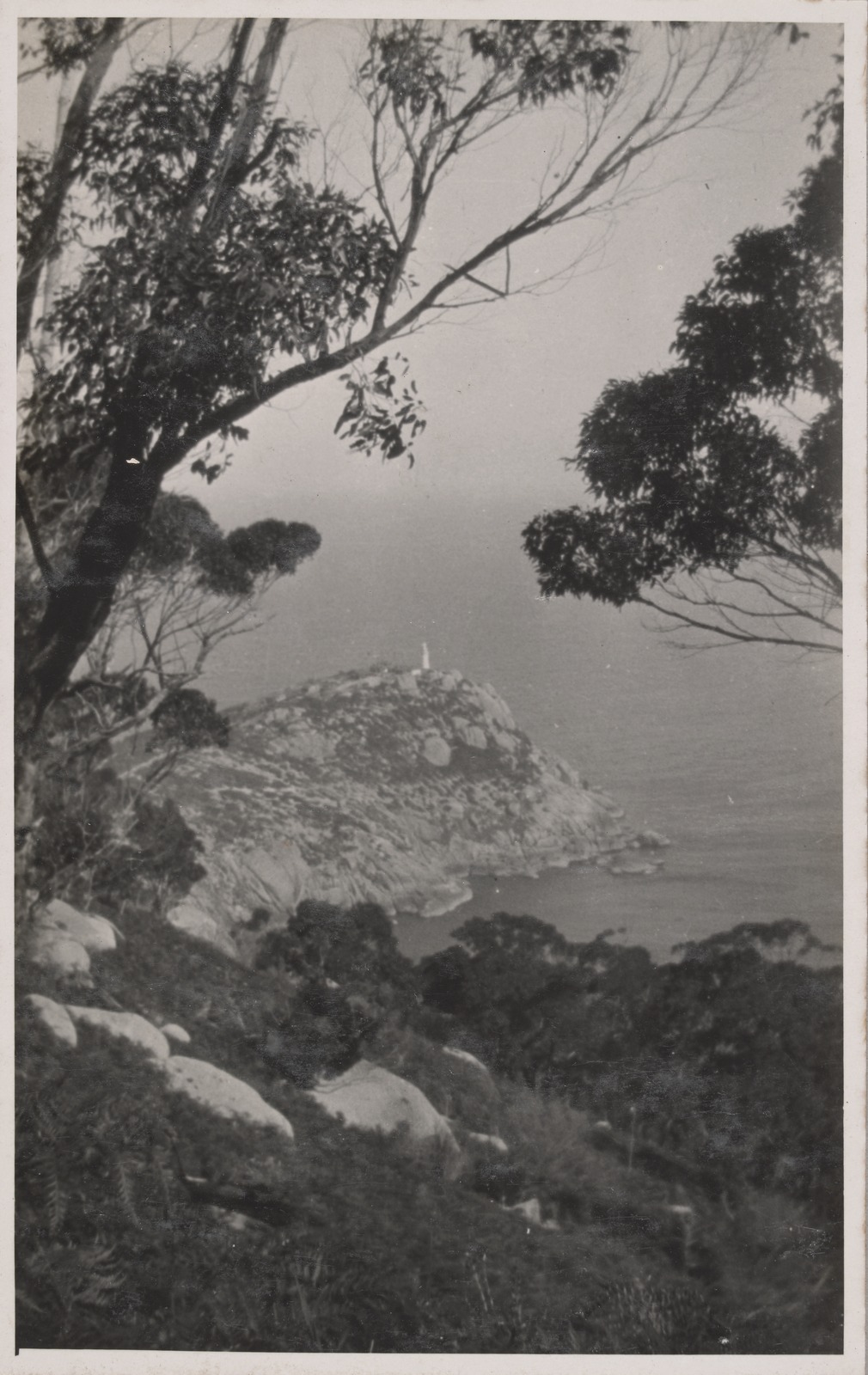 State Library Victoria Wilsons Promontory treasure trove and haven