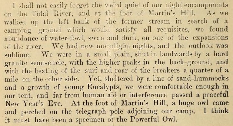Excerpt of text from the Victorian naturalist