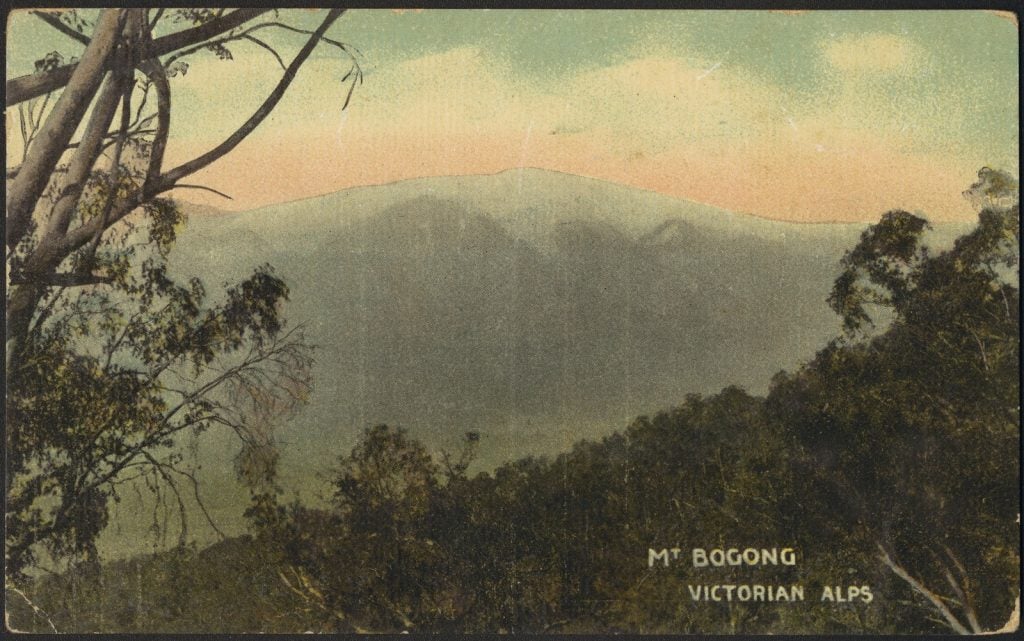 Postcard showing view over trees to snow capped mountain.
