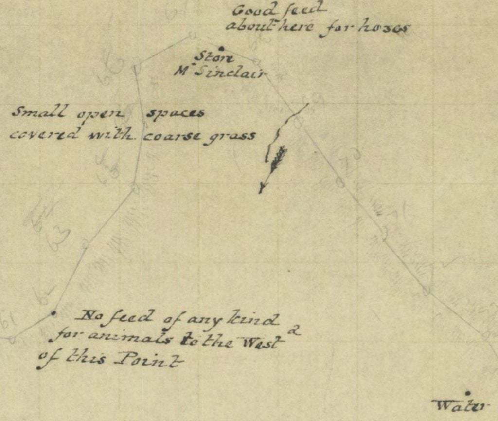 Detail from illustrated colour historic map of track at the goldfields shows the location of feed for horses, water, and a general store. Map also describes the vegetation