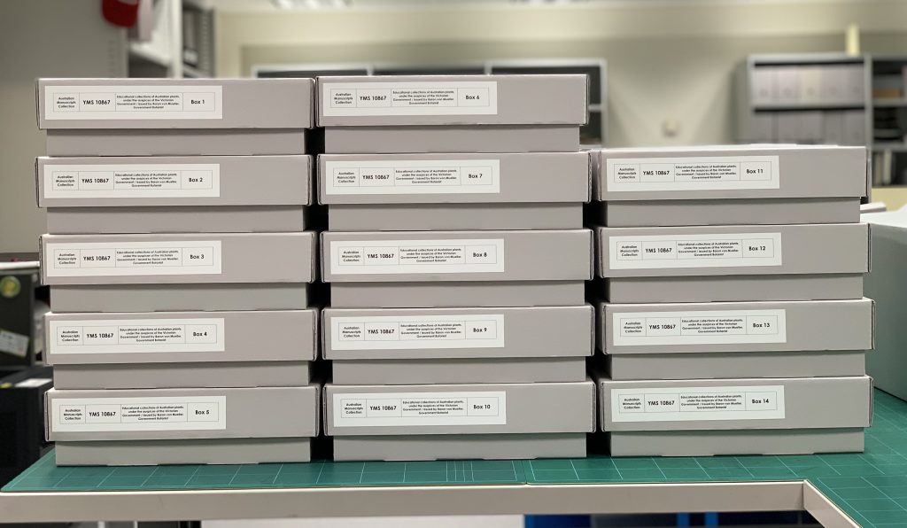 Three adjacent stacks of 5,5 and 4 grey board boxes with white labels printed in black ink describing them as The Educational Collections of Australian Plants.
