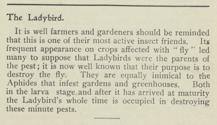 test describing the role of the ladybird in the garden as eaters of pets 