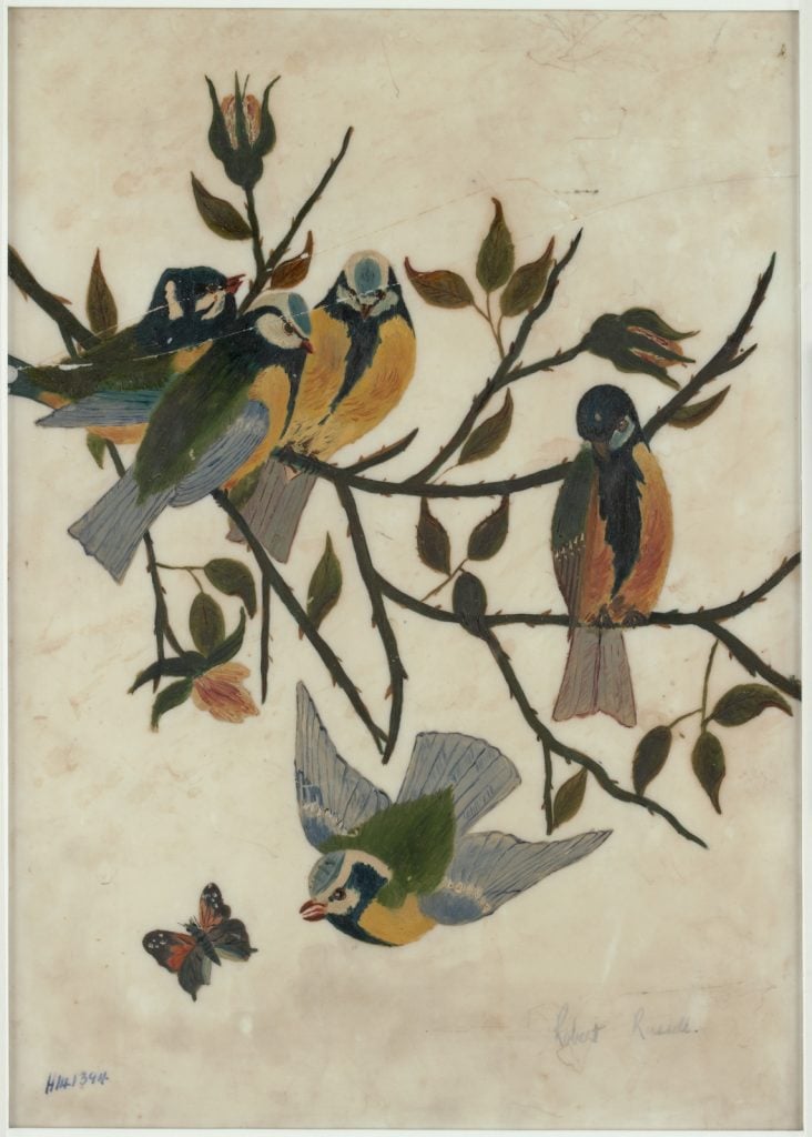 painting of coloured birds an a butterfly, perched on a rose bush branches, with some pink buds