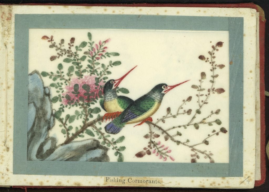 painting in a small album of 2 fishing cormorants, perched on a branch, with pink flowers