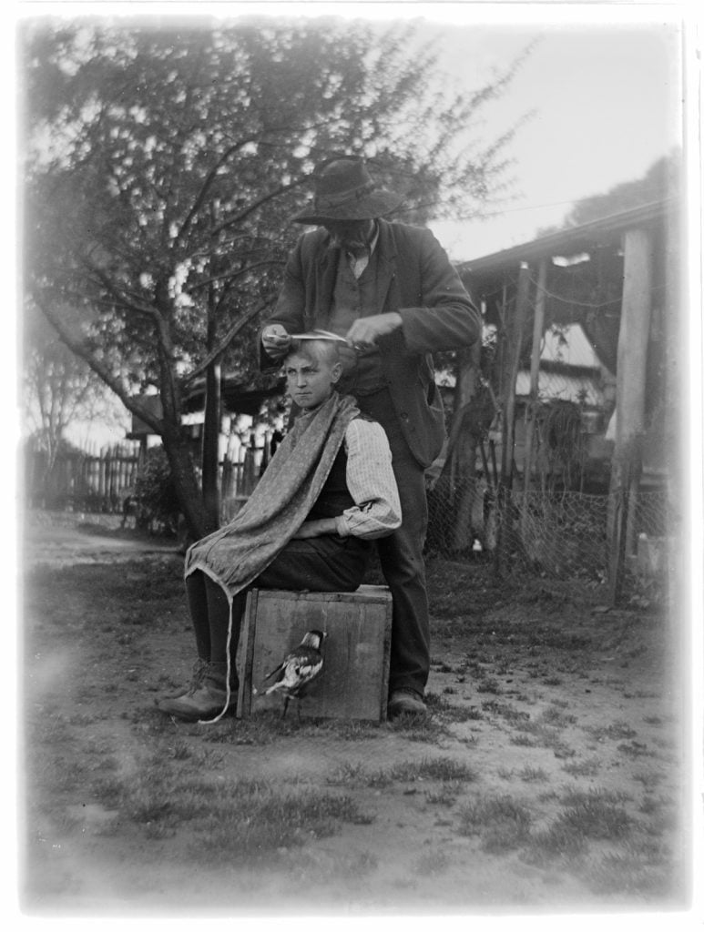 photograph of a young boy sitting on a packing crate, getting his hair cut, with a magpie pecking the side of the crate