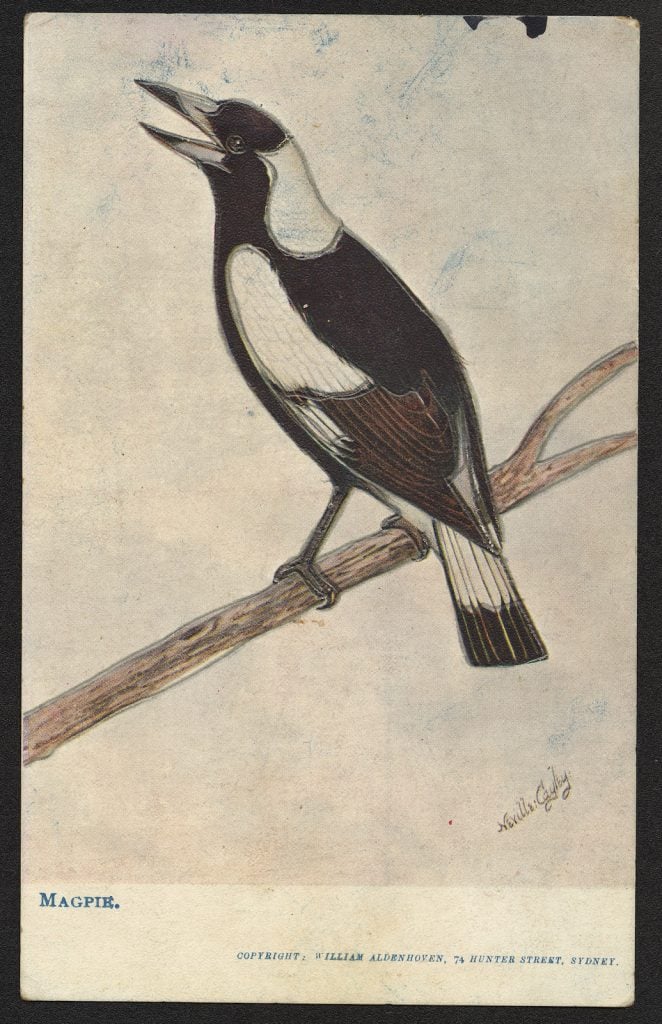 postcard with a painting of a magpie warbling