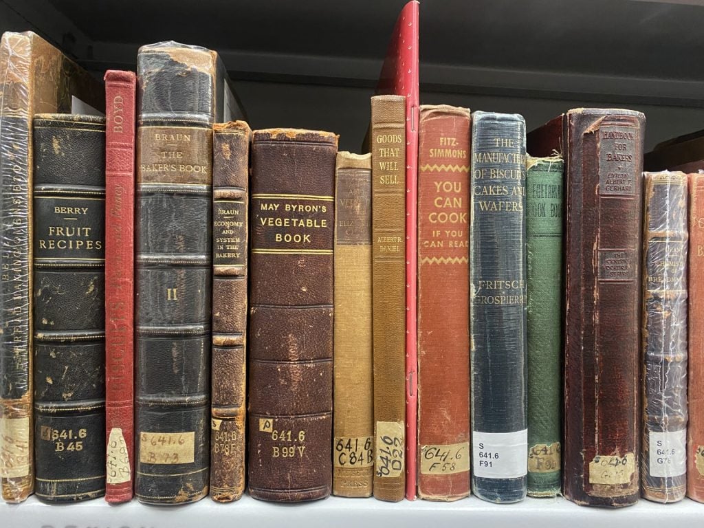 Photograph of a row of books on a shelf, spines facing out - some leather bound, some cloth bound
