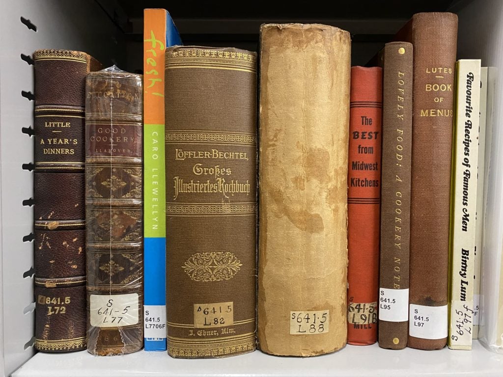 Photograph of a row of books on a shelf, spines facing out - some cloth bound, some leatherbound, some paperbacks