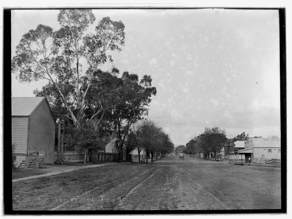 Black and white photograph of view down Cowslip street, a wide dirt road edged with buildings and trees, a buggy going down the middle of the road. 
