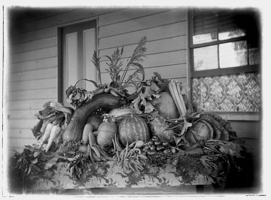 Black and white photograph of a still life of vegetables arranged on a brocade cloth on a front verandah, a lace curtain at the open window behind.