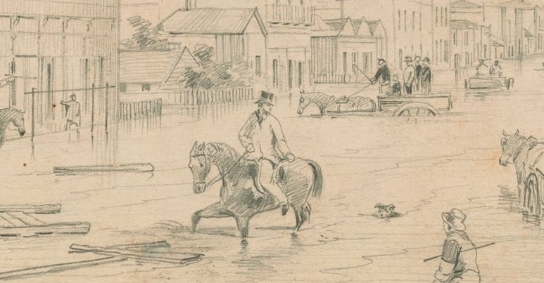 A little dog is caught in the floods on the Hunter, High Street, West Maitland, a drawing by by S.T.Gill.