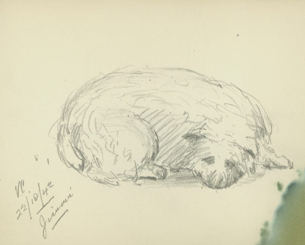 A sketch of a dog curled up, sleeping by Victor Cobb, 