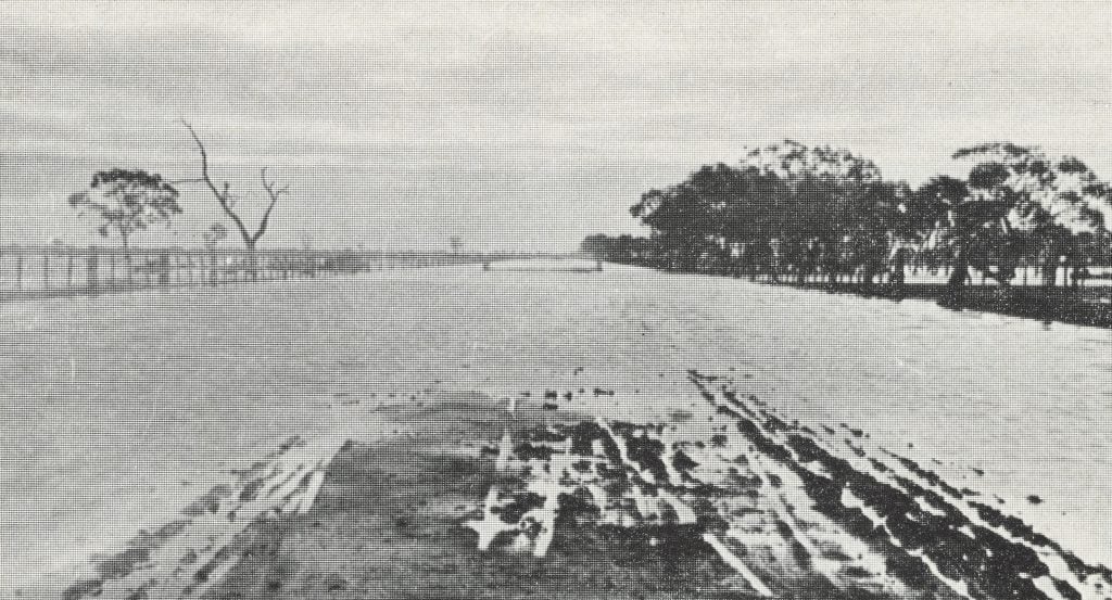 Black and white photo of flooded road and countryside  south of Wycheproof, 1889. Flood water covers most of road.  