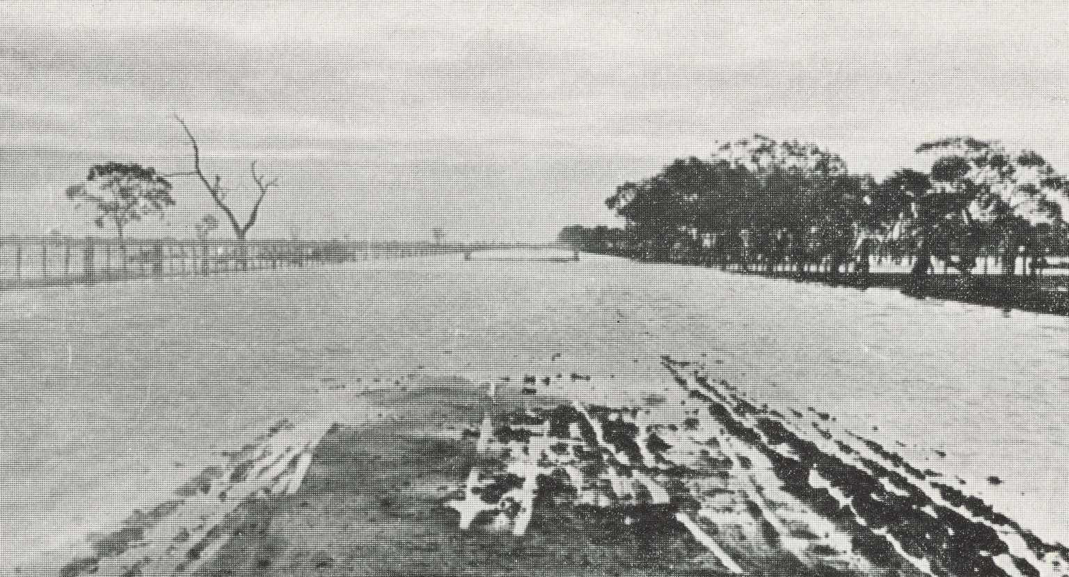 Wycheproof State Library Victoria – Wycheproof: heart of Victoria’s wheat belt