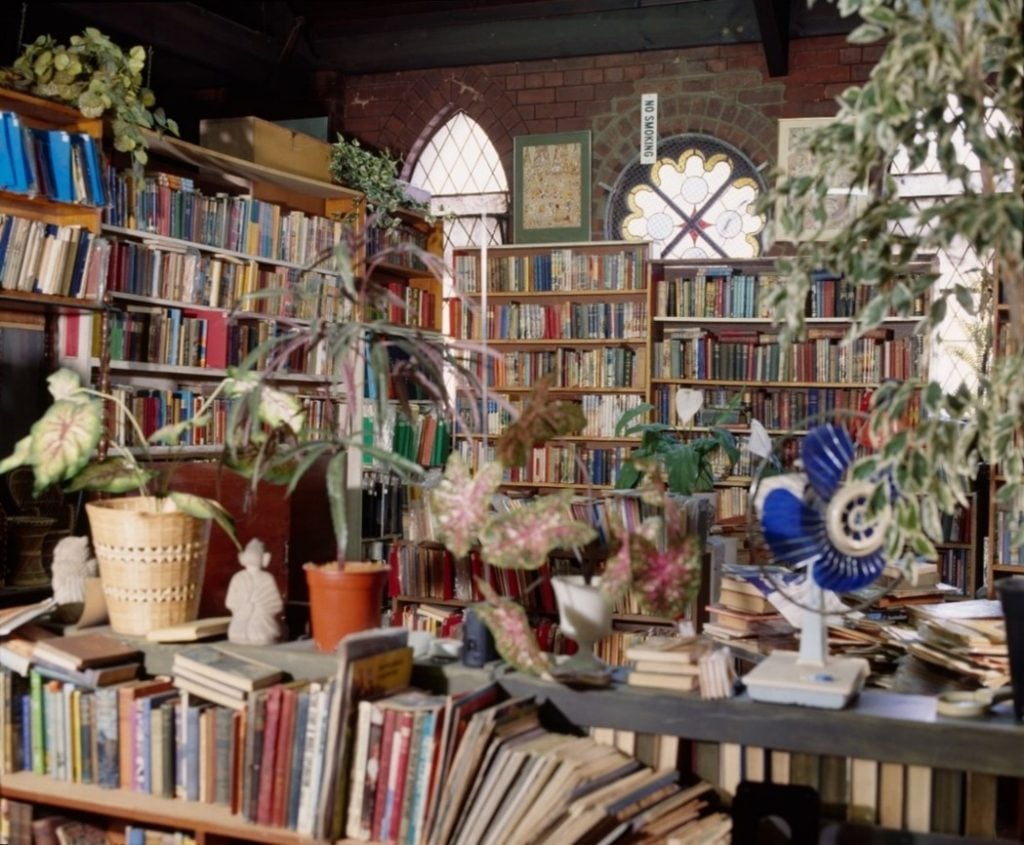 Photo of a room full of books, with plants scattered throughout. Church windows visible on the back wall.