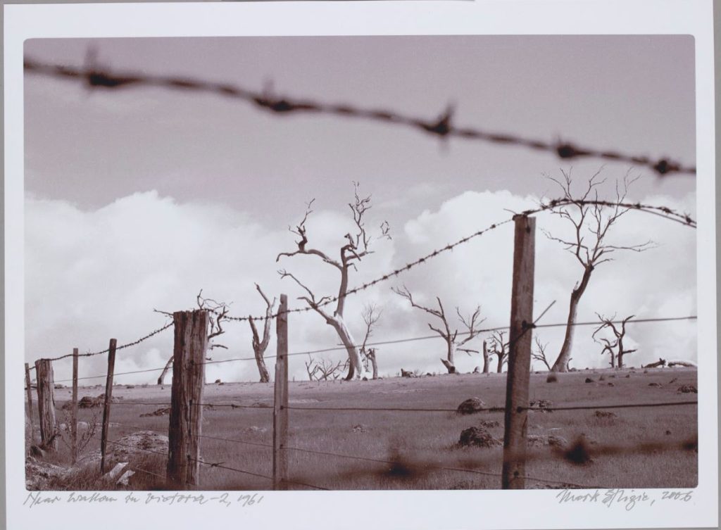 Black and white photo of bare trees in sparse paddock. There is a barbed wire fence in the foreground. 