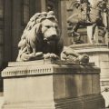 The mystery of the Library lions