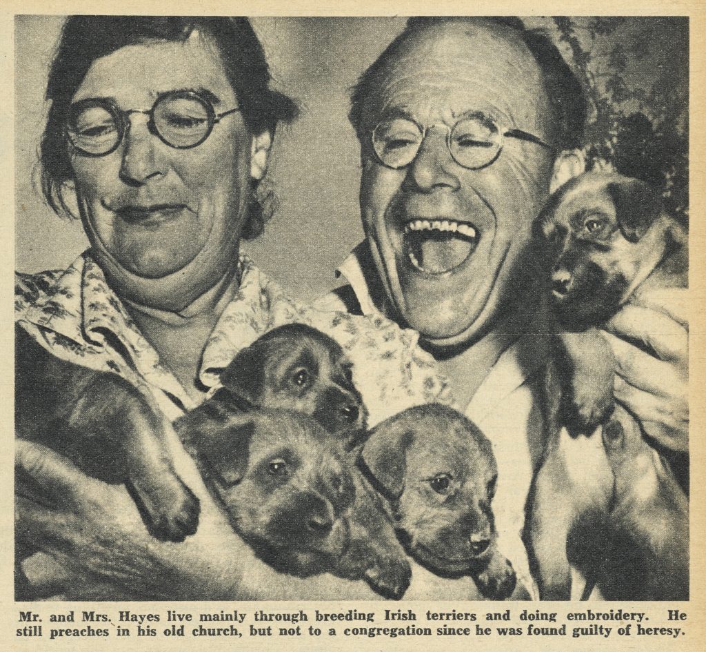 Black and white photographic image of an older woman and older man wearing glasses and nursing puppies. The woman at left is holding four puppies, three in full view. She is smiling down at them. While the man at right is looking across at them with a wide open mouth smile showing his top teeth, possibly from laughing. He is holding one puppy.
The caption below reads: Mr. and Mrs. Hayes live mainly through breeding Irish terriers and doing embroidery. He still preaches in his old church, but not to a congregation since he was found guilty of heresy.