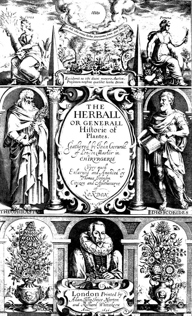 black and white illustration of people with plants around them