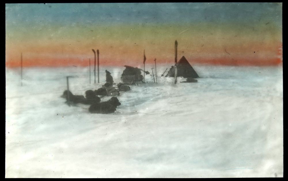 Sled dogs and tents in snow