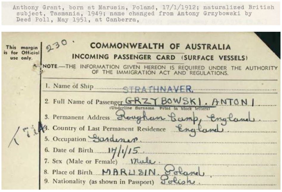 Top: copy of a paragraph of typed text from a family tree, giving Anthony Grant's birthday. Bottom: section of an incoming passenger card for Antoni Grzybowski.