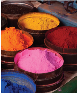 Online Collection Spotlight: Fairchild Books Library