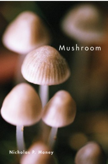 Cover image of Mushroom showing a close-up image of small mushrooms or toadstools.