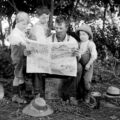 Meet the relatives: exploring newspaper family trees