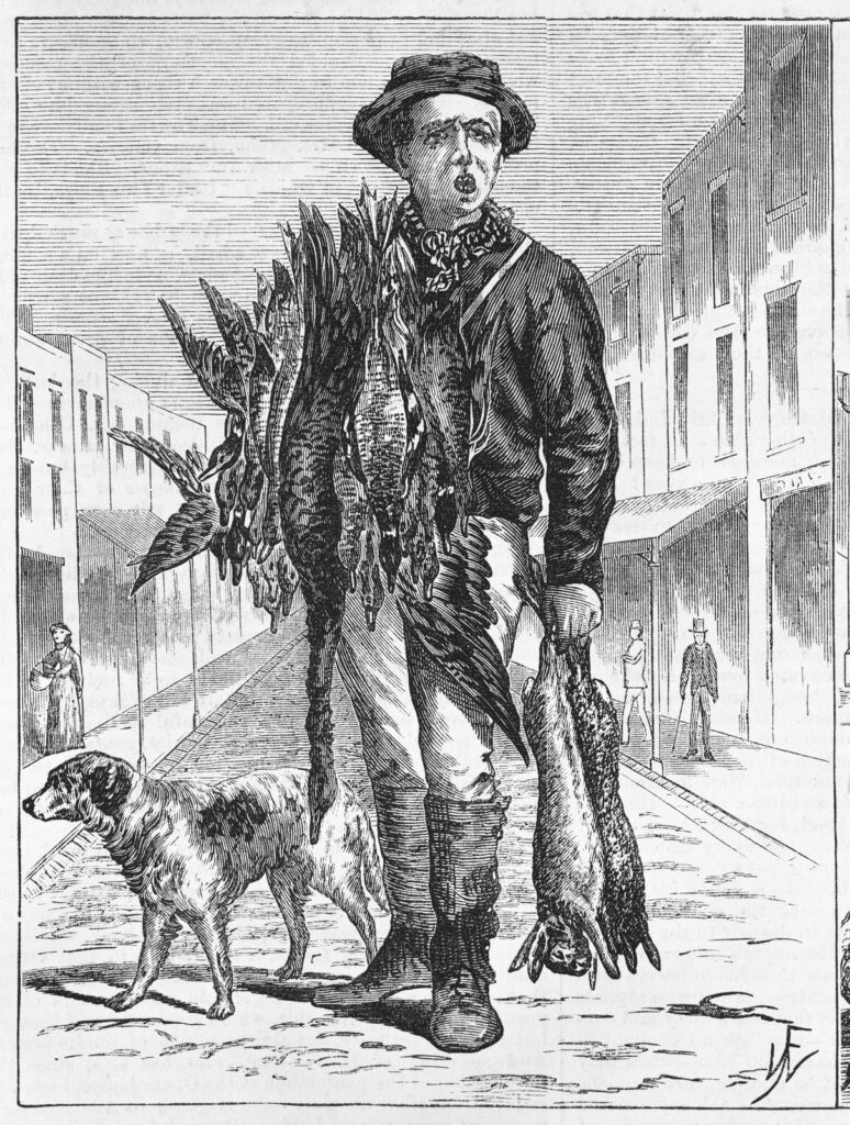 Black and white print of a boy selling birds and ducks on the street from 1875.